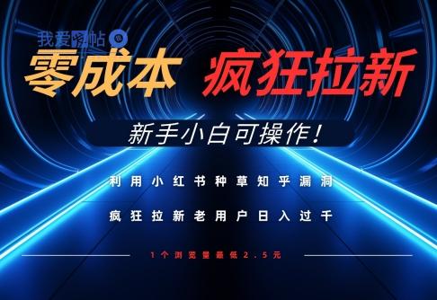 利用小红书种草知乎漏洞，零成本疯狂拉新日入数张，新手小白可操作-我爱发帖