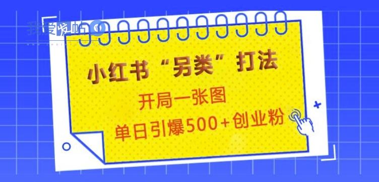 小红书“另类”打法，开局一张图，单日引爆500+精准创业粉【揭秘】-我爱发帖
