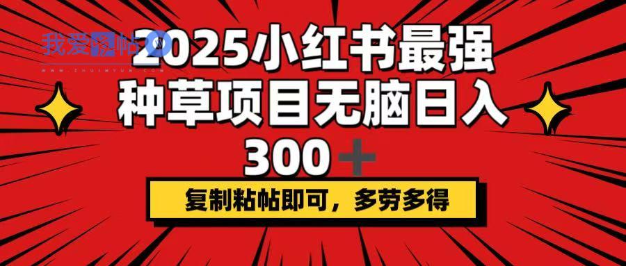 2025小红书最强种草项目，无脑日入300+，复制粘帖即可，多劳多得-我爱发帖