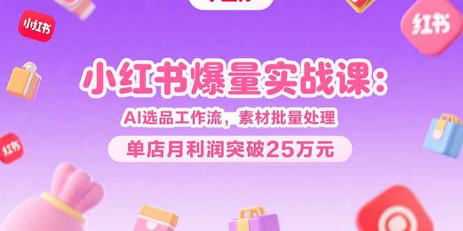 小红书爆量实战课：AI选品工作流，素材批量处理，单店月利润突破25万元-我爱发帖