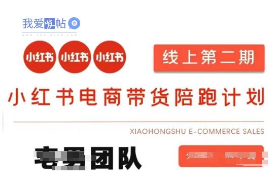小红书电商带货课2期，月利润20个的小红书电商的有货源，无货源，虚拟产品，付费投流等整套玩法-我爱发帖