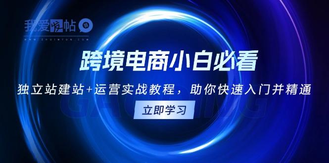跨境电商小白必看！独立站建站+运营实战教程，助你快速入门并精通-我爱发帖