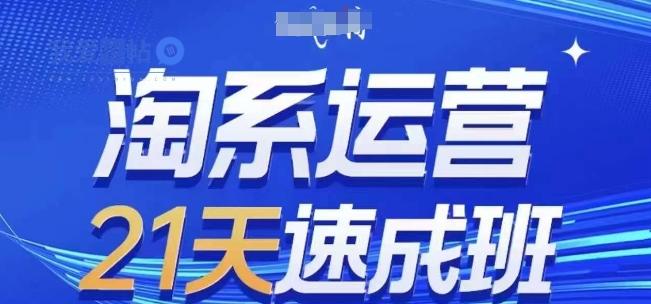 淘系运营21天速成班(更新25年2月)，0基础轻松搞定淘系运营，不做假把式-我爱发帖