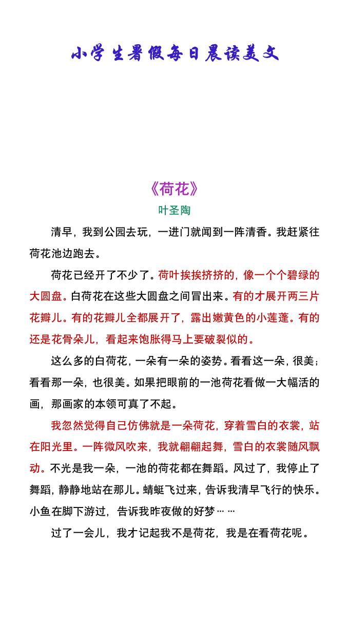 小学生暑假每日晨读美文：叶圣陶《荷花》-小升初语文-我爱发帖