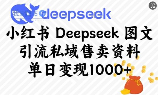 小红书Deepseek图文引流私域售卖资料，单日变现多张-我爱发帖