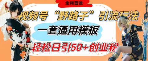 视频号“野路子”玩法，评论区疯狂截流，一套模板单日单号引流50+创业粉-我爱发帖