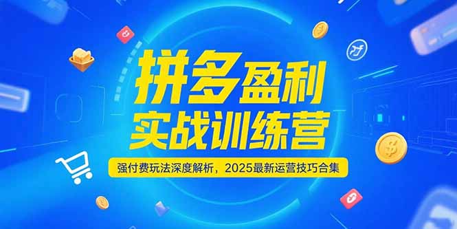 拼多多盈利实战训练营，强付费玩法深度解析，2025运营技巧合集-更新6月-我爱发帖