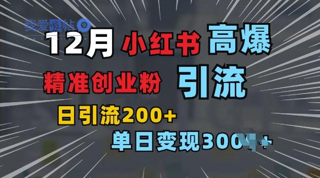 小红书一张图片“引爆”创业粉，单日+200+精准创业粉 可筛选付费意识创业粉【揭秘】-我爱发帖