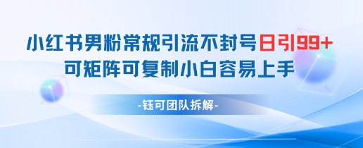 小红书男粉常规引流不封号日引99+变现简单 可矩阵可复制小白容易上手-我爱发帖