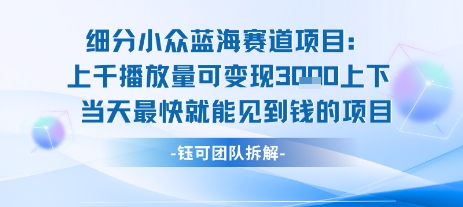 小众蓝海赛道项目：当天变现1k+适合新手操作 +适合长期玩-我爱发帖