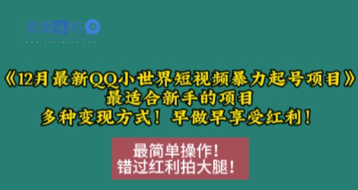 12月最新QQ小世界短视频暴力起号项目，最适合新手的项目，多种变现方式-我爱发帖
