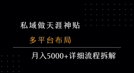 私域做天涯神贴 多平台布局 月入5k+详细流程拆解-我爱发帖