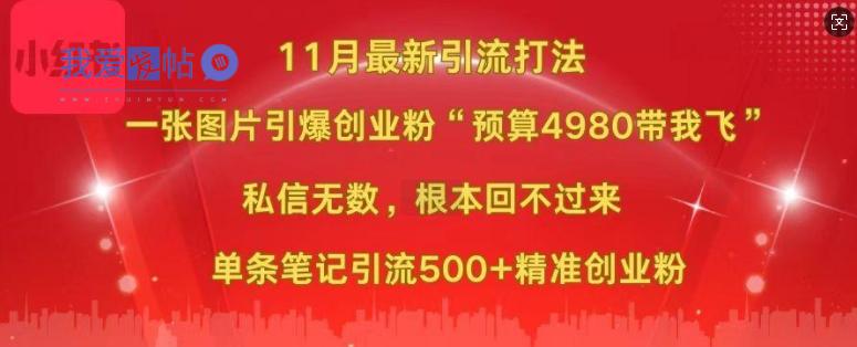 小红书11月最新图片打粉，一张图片引爆创业粉，“预算4980带我飞”，单条引流500+精准创业粉-我爱发帖