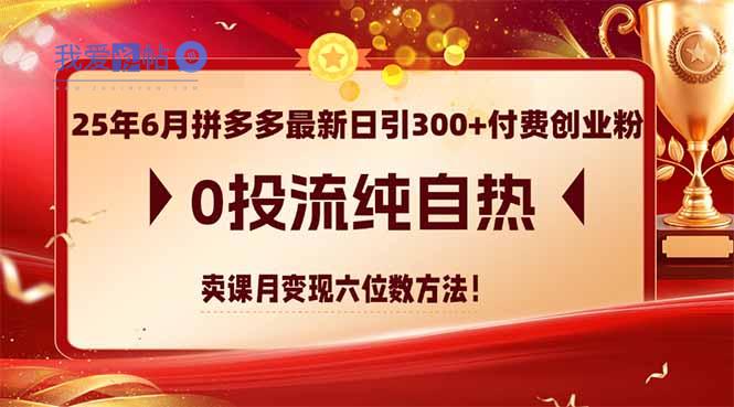 25年6月拼多多最新日引300+付费创业粉，0投流纯自热 卖课月变现六位数方法-我爱发帖