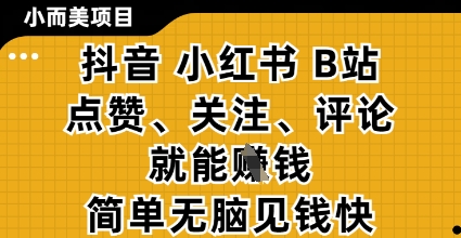 小而美的项目，抖音小红书B站视频点赞、关注、评论就能挣钱，简单无脑立见收益，妥妥的零撸项目【揭秘】-我爱发帖