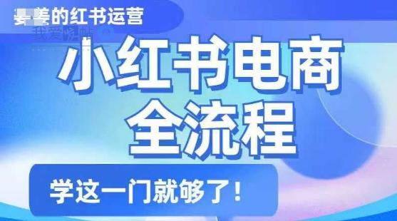 小红书电商全流程，精简易懂，从入门到精通，学这一门就够了-我爱发帖