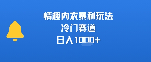 情趣内衣暴利玩法，冷门赛道，日入1k+-我爱发帖