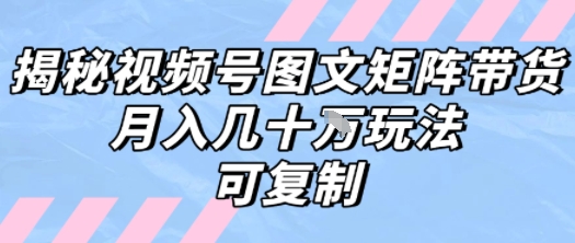 解密视频号图文矩阵带货，月入几个W的打法，可复制-我爱发帖