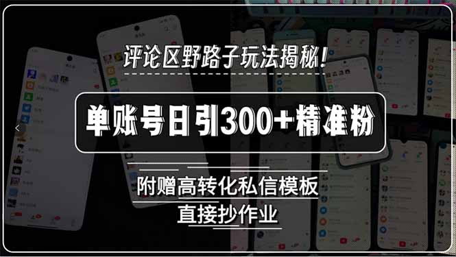 评论区野路子玩法揭秘！单账号日引300+精准粉，附赠高转化私信模板，直…-我爱发帖