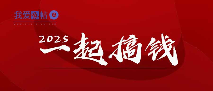 2025年，请“不择手段”去搞钱!-我爱发帖