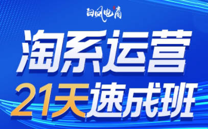 白凤电商·淘系运营21天速成班(更新7月)-我爱发帖