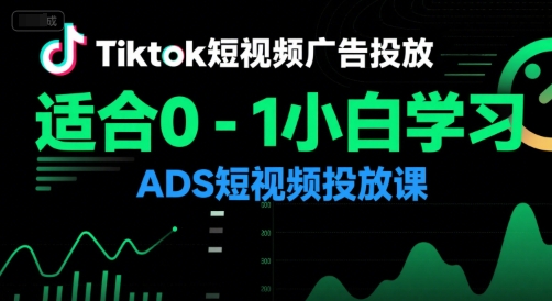 Tiktok短视频广告投放，适合0-1小白学习ADS短视频投放课-我爱发帖